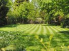 Hydrate Your Lawn Correctly in The Spring