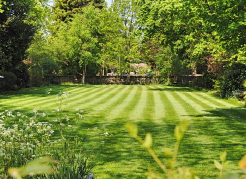 Hydrate Your Lawn Correctly in The Spring
