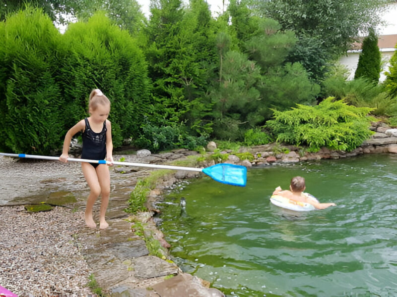 Swimming Ponds